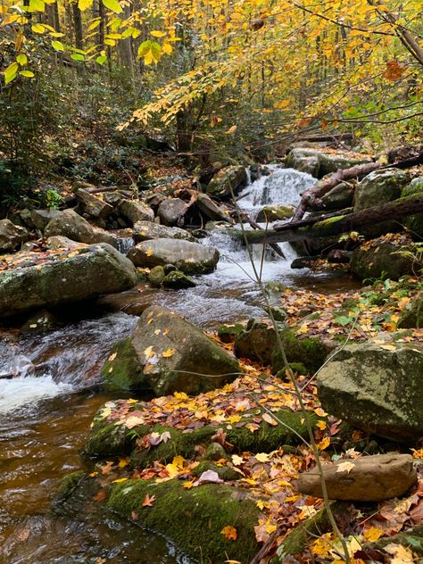 Nature hike, fall, waterfall, warm aesthetic, moss, autumn Autumn Hiking Aesthetic, Summer To Fall Aesthetic, Warm Personality Aesthetic, Chloecore Aesthetic, Warm Autumn Aesthetic, Fall Hiking Aesthetic, Naturecore Aesthetic, Fall Waterfall, Autumn Hike