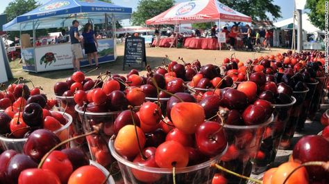 This week-long cherry celebration in July offers pit-spitting competitions, pie-baking contests, a Grand Cherry Parade and the crowning of a Cherry Queen. Pie Baking Contest, Cherry Farm, Michigan Lighthouses, Baking Contest, Cherry Festival, Michigan Girl, Small Refrigerator, South Africa Travel, The Mitten