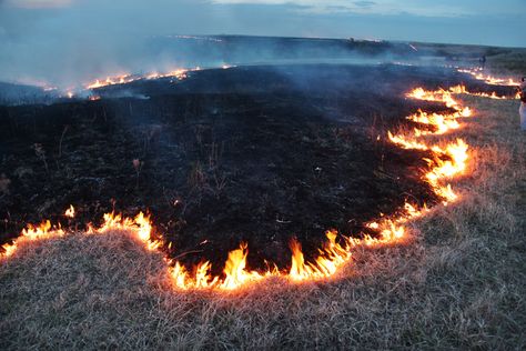 BURNING UP THE TALLGRASS PRAIRIE IN THE KANSAS FLINT HILLS - You Should Go Here Flint Hills Kansas, Tallgrass Prairie, Flint Hills, Sketchbook Inspo, Wheat Fields, Ap Art, American Dream, Felt Art, On Fire