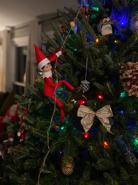 Elf Decorating Christmas Tree, Easy Elf On The Shelf Ideas Christmas Tree, Elf In Christmas Tree, Elf On The Shelf On Christmas Tree, Elf On Christmas Tree, Elf On The Shelf Climbing, Elf On Tree Ideas, Christmas Tree Elf On The Shelf, Elf In Tree Ideas