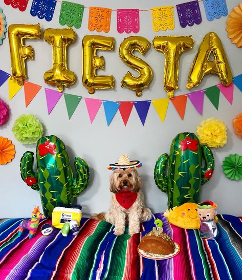 My Cavapoo pups birthday is on Cinco de Mayo & im obsessed with tacos so I geel obligated to go all out for her birthday Dog Fiesta Party, Fiesta Dog Party, Mexican Dog Party, Cinco Party, Dog Party Food, Cat Photo Ideas, Dog Party Games, Dog Party Invitations, Taco Cake