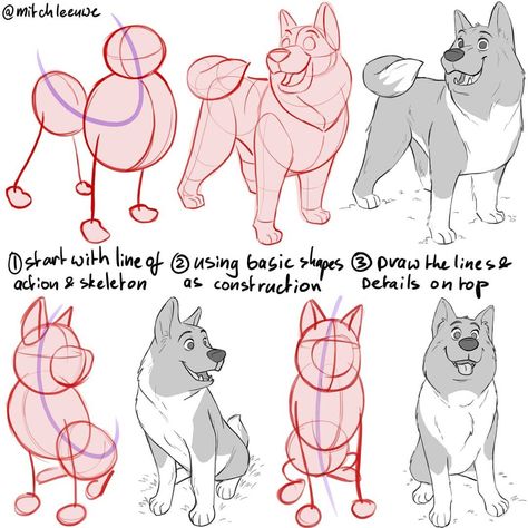 Mitch Leeuwe on Instagram: “Made this dog tutorial, to show the steps with construction. Planning to do some animal tutorials when the character design book is…” Construction Planning, Dog Tutorial, Mitch Leeuwe, Dog Anatomy, Anatomy Tutorial, Character Design Girl, Dog Sketch, Character Design Sketches, Poses References