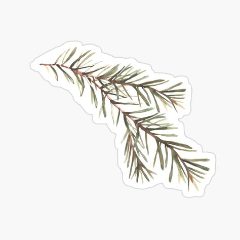 Get my art printed on awesome products. Support me at Redbubble #RBandME: https://www.redbubble.com/i/sticker/Spruce-branch-with-needles-Twig-of-pine-or-Christmas-fir-tree-Watercolor-clipart-by-BartolArt/161090088.EJUG5?asc=u Spruce Branch, Wrap Tattoo, Tree Watercolor, Pine Branches, Spruce Tree, Calendar Planner, Tree Stickers, Pine Branch, Botanical Watercolor