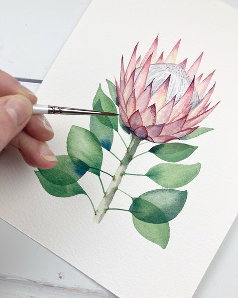 Watercolour Protea Flower, Watercolor Protea, King Protea Art, Protea Art, Protea Flower, Safari Animals Nursery, Abstract Watercolor Art, Watercolour Inspiration, Watercolor Flower Art