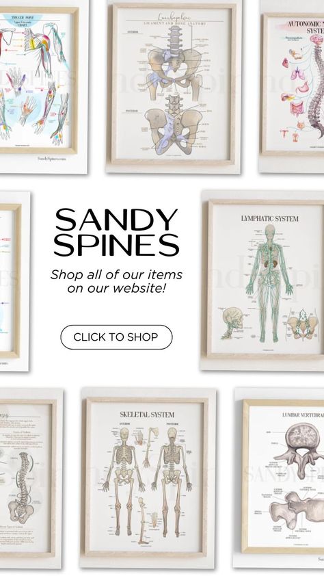 SandySpines Posters Watercolors Illustrations, Aesthetic Anatomy, Anatomical Art, High School Graduation Party Decorations, Medical Posters, Office Aesthetic, Doctors Office, High School Graduation Party, Office Office