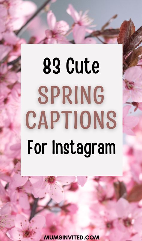 Capture the essence of spring in your selfies with these cute and aesthetic Instagram captions. From short and sweet to flower-inspired, these Instagram post ideas will elevate your feed and perfectly complement your blooming photos. Don't miss out on the opportunity to celebrate the season with the perfect spring caption! Spring Season Captions Instagram, First Day Of Spring Aesthetic, May Month Captions Instagram, Spring Flowers Quotes, Spring Quotes Aesthetic Short, April Quotes Spring, Spring Insta Captions, Instagram Captions With Flowers, Caption For Spring