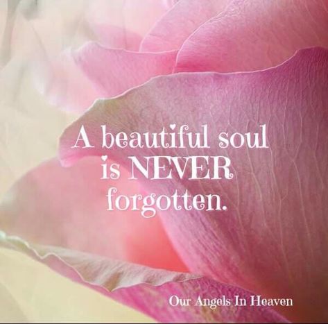 220119 status A beautiful soul is never forgotten. Never Forget Quotes, Beautiful Soul Quotes, Losing A Loved One Quotes, Feed Your Mind, Happy Birthday In Heaven, Forgotten Quotes, In Loving Memory Quotes, Sympathy Card Messages, Sympathy Messages