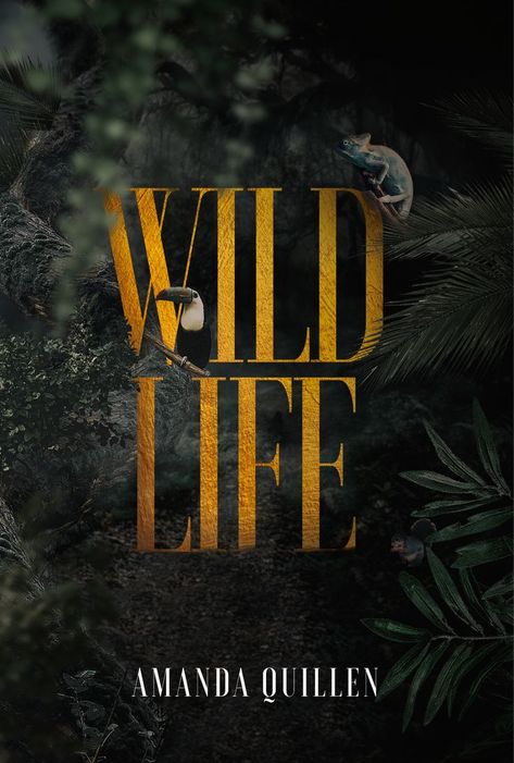 My first book. "Wildlife." was released earlier this year. I worked on it for almost 12 years and I am hoping to generate some sales. Hotel Ads, Graphic Design Inspiration, Art Reference, Graphic Art, This Year, Design Inspiration, Graphic Design, Free Shipping, Design