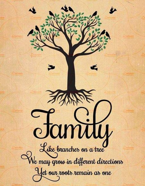 Family Tree Quotes, Quote Family, Family Love Quotes, Family Tree Print, Tree Quotes, Quote Tattoo, طابع بريدي, Tree Family, Family Quote