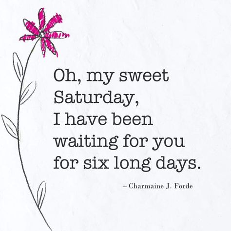 Happy Saturday! 🌼 Saturday Quotes Funny, Weekend Meme, Happy Saturday Quotes, Saturday Humor, Evening Quotes, Saturday Quotes, Better Days Are Coming, Good Morning Saturday, Lazy Saturday