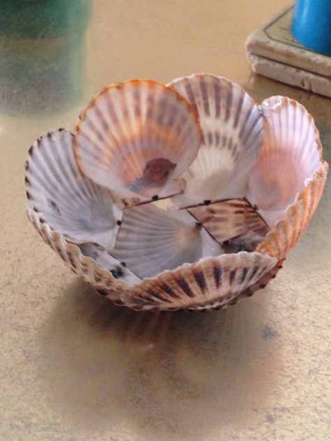 She’ll Crafts, Shell Ashtray, Seashell Art Diy, Seashell Projects, Art Coquillage, Shells Diy, Cute Diy Room Decor, Shell Crafts Diy, Pinterest Diy Crafts