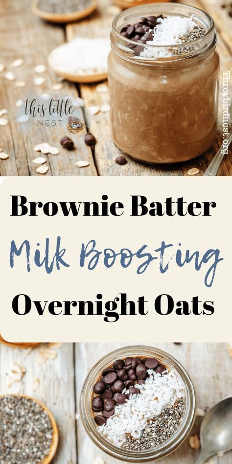 Increasing Milk Supply, Milk Booster, Breastfeeding Snacks, Breastfeeding Foods, Overnight Oat, Lactation Recipes, Increase Milk Supply, Chocolate Oats, Lactation Cookies