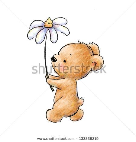 Teddy Bear Holding Flowers Drawing, Bear Holding Flowers Drawing, Bear Holding Flowers Tattoo, Baby Bear Tattoo, Bear Walking, Smelling Flowers, Daisy Tattoo, Flower Stock, Bear Tattoo