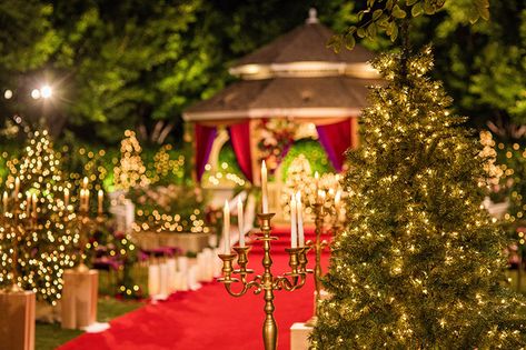 Christmas Disney Wedding, Disney Winter Wedding, Disney Christmas Wedding, Disney Wedding Decor, Disney Weddings, Disney Fairy Tale Weddings, Disney Fairy, Days Like This, Fairy Tale Wedding