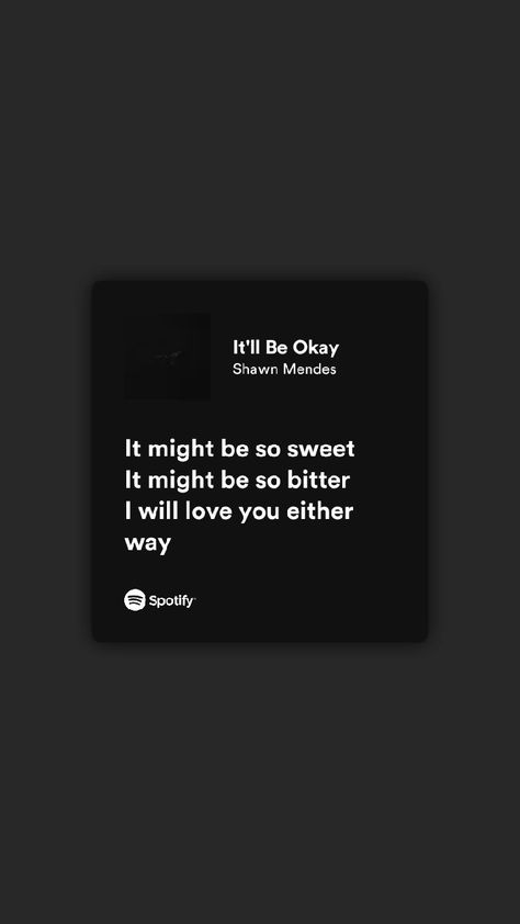 I Will Love You Either Way, Way Wallpaper, Shawn Mendes Lyrics, I Will Love You, Spotify Lyrics, Playlist Covers, Lyrics Quotes, Be Okay, Smash Book