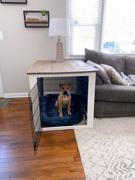 Small Dog Home Ideas, Dog Kennel Side Table Diy, Dog Kennel Side Table, Dog Side Table, Dogs Crate Ideas, Dog Crate Side Table Diy, Side Table Dog Crate, Dog Crate Ideas Decor, Dog Crate In Living Room