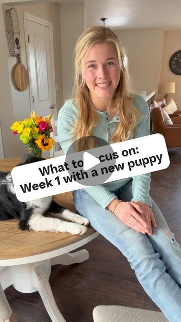 To Train Up A Dog - Alli Rust on Instagram: "Week 1 with your new puppy, or if you are late to the game start here now! 1. Potty train/set schedule 2. Crate train 3. Teach name 4. Teach down and sit. That’s literally all! It doesn’t have to be complicated. #puppytips #puppytraining #dogtrainer" Dog Potty Training Schedule, Puppy Training Schedule By Age, Puppy Routine, Puppy Crate Training Schedule, Potty Train Puppy In 3 Days, 8 Week Old Puppy Training, Puppy Potty Training In 3 Days, Crate Training Puppy At Night, Potty Training Schedule