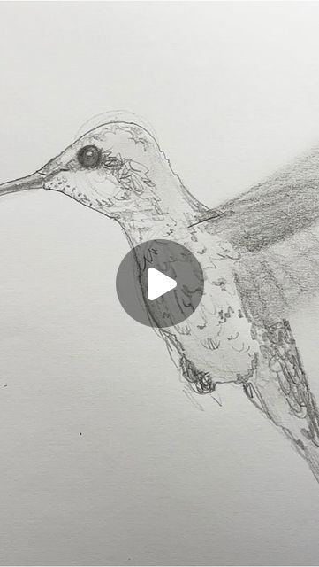 Mark Liam Smith on Instagram: "Draw a hummingbird in real time! Let’s draw together without time lapse. Why not give your scrolling thumb a break and pick up a pencil? Let’s draw!✍️ #drawinglesson #hummingbird" 2 Hummingbirds Drawing, How To Draw A Hummingbird, Humming Bird Drawing Simple, Draw A Hummingbird, Humming Bird Drawing Realistic, Hummingbird Art Drawing, Humming Birds Art Watercolor Hummingbird Painting, Humming Bird With Flowers Drawing, Hummingbird Drawing