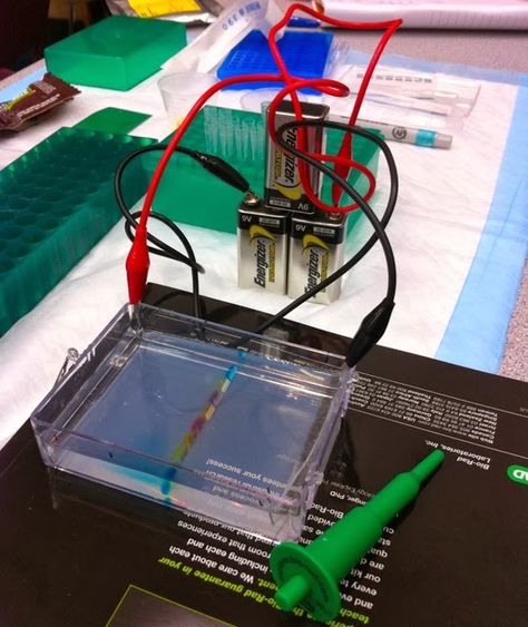 DIY Gel Electrophoresis Rig -- Whaaaaat! Gel Electrophoresis, Medical Laboratory Technician, Physics Projects, Coding For Beginners, Geeky Craft, Laboratory Technician, Science Club, Dry Cell, Biomedical Engineering