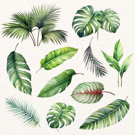 Editable watercolor tropical leaves  design element set | premium image by rawpixel.com / Hein Rainforest Leaves Template, Leaves Illustration, Beer Poster, Print Design Art, Leaf Template, Watercolor Leaves, Free Design Resources, Leaf Art, Tropical Leaves