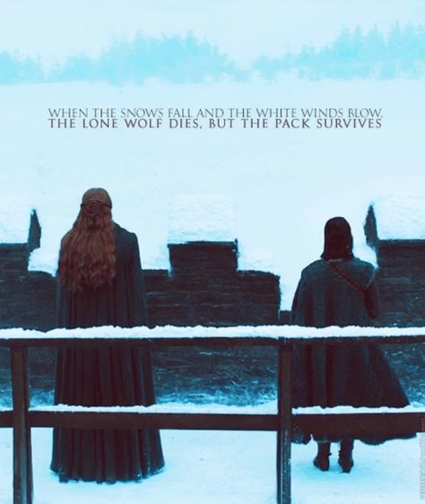 The lone wolf dies, but the pack survives | Sansa and Arya Sansa Stark Poster, Sansa And Arya, Liar Liar Pants On Fire, Pants On Fire, Contemplating Life, Game Of Thrones Arya, The Lone Wolf, Game Of Thrones Poster, Liar Liar