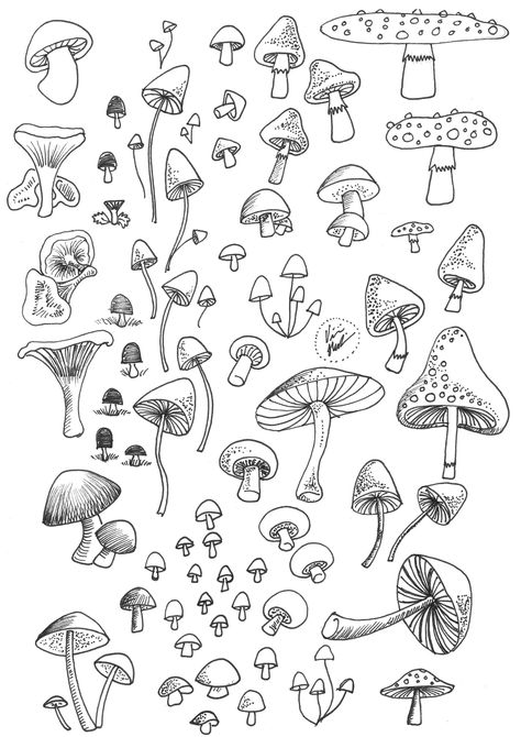 Good Pic Printable Stickers study Thoughts One of several (many) solace of the online is usually printables. Now i am remaining sort of amusing #Good #Pic #Printable #Stickers #study #Thoughts Fall Items Drawing, Mushroom Journal Theme, Autumn Aesthetic Drawing Ideas, Autumn Doodles Bullet Journal, Autumn Sketchbook Ideas, Mush Room Drawing, Mushroom Forest Illustration, Mushroom Tattoo Design Simple, Mushroom Bullet Journal Theme