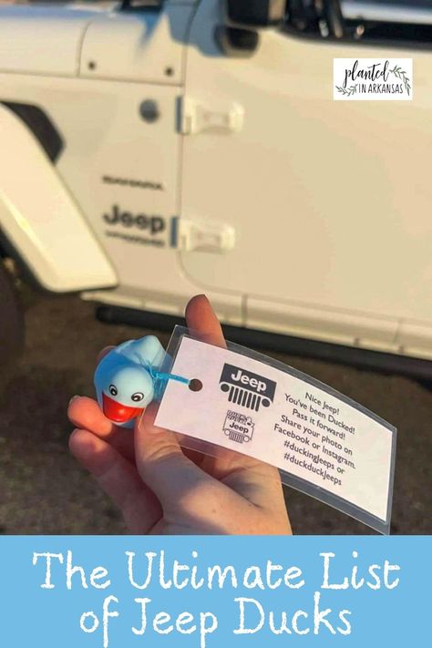 Enjoy these Jeep ducking ideas and Jeep ducking tags ideas for this fun gift game with other Jeep owners! You will have so much fun with Jeep ducking quotes for ducking Jeeps around town! We have the best Jeep ducking tags on Amazon and the best Amazon ducks for ducking Jeeps. You've Been Ducked Jeep Tags, Jeep Duck Holder Diy, Jeep Duck Display Ideas, Ducks For Jeeps, Rubber Ducks For Jeeps, Jeep Ducking Ideas, Jeep Ducks On Dash, Ducked Jeep, Duck Duck Jeep Tags