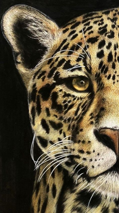 Abstract Painting Diy, Safari Art, Lion Photography, Leopard Art, Jungle Art, Face Paintings, Floral Doodle, Artistic Pictures, Animal Portraits Art