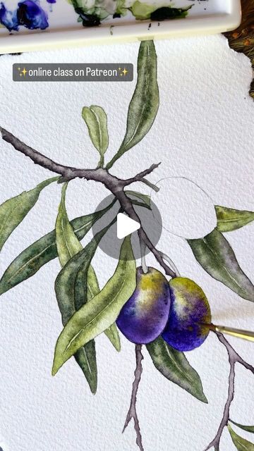 Branch Watercolor, Tea Bag Art, Watercolor Beginner, Watercolor Tutorials, Watercolor Art Lessons, Botanical Painting, Botanical Watercolor, Watercolour Tutorials, Olive Branch