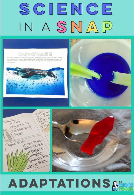 2nd Grade Standards, Animal Adaptations Activities, Adaptations Science, Adaptations Activities, Elementary Science Teacher, Plant Adaptations, The Science Penguin, Science Penguin, Animal Adaptations