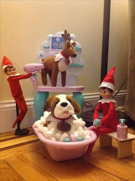 Elf Pet reindeer and dog salon Elf And Dog On The Shelf, Elf On The Shelf Ideas With Pet Dog, Elf On A Shelf Dog Ideas, Elf And Pet Ideas On The Shelf, Elf Pets Reindeer Ideas, Elf On The Shelf With Dog Ideas, Elf On The Shelf Pets Ideas, Elf On The Shelf And Reindeer Ideas, Elf On The Shelf With Pets