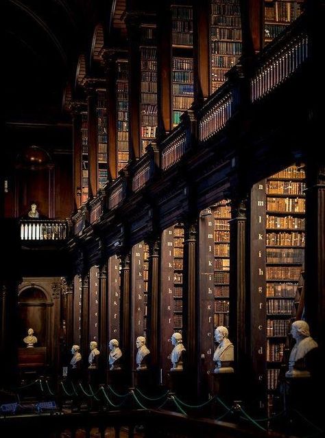 Cool library! Trinity College Library, Old Libraries, Purple Door, Beautiful Library, College Library, Trinity College, Home Libraries, Nancy Drew, Ireland Travel