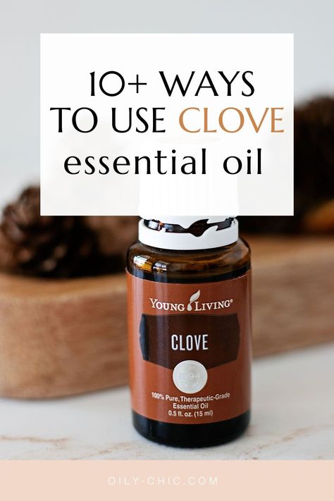 There’s more to clove than you can imagine. Grab your bottle of clove and give a few of these clove essential oil DIYs a try today! Benefits Of Cedarwood Essential Oil, Clove Bud Essential Oil Uses, Clove Essential Oil Uses, Clove Essential Oil Blends, Diy Clove Oil, Clove Essential Oil Benefits, Clove Oil Uses, Clove Oil For Teeth, Clove Oil Benefits