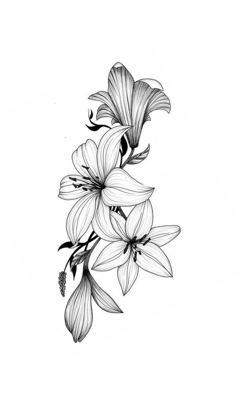 Flower Tattoo Stencil, Lilly Tattoo Design, Lily Flower Tattoo, Lilly Flower Tattoo, Lillies Tattoo, Lily Flower Tattoos, Stencil Outline, Flower Tattoo Drawings, Floral Tattoo Sleeve