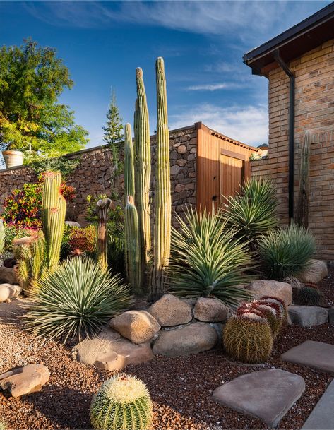 Cactus rock garden Dry Scape Front Yard, Texas Hill Country Landscaping Ideas, Modern Desert Landscaping Front Yards, Front Yard Landscaping Arizona, Cactus Landscaping Front Yards, Xeriscape Front Yard Colorado, Xeriscape Landscaping Colorado, Arizona Landscaping Ideas Backyard, Desert Landscape Backyard