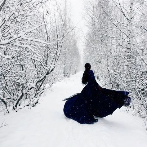 Lyanna Stark Aesthetic, Queen Morgana, Lyanna Stark, Snow Photoshoot, Lady Loki, House Stark, Winter Photoshoot, Sansa Stark, Chronicles Of Narnia