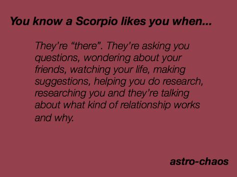 You know a Scorpio likes you when... Scorpio When They Have A Crush, When A Scorpio Likes You, Scorpio And Virgo Relationship, Scorpio And Pisces Relationship, Scorpio Core, Aries Ascendant, Scorpio Female, Scorpio Truths, Universe Signs