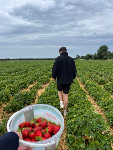 Strawberry picking date Old Money Date Ideas, Strawberry Picking Date, Things To Do In The Summer With Bf, Summer Activities Couples, Cute Summer Dates, Summer Dates With Boyfriend, Cute Summer Date Ideas, Date Ideas Cute, Date Ideas Pictures