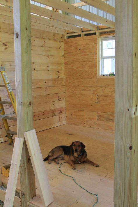 Diy tack room build - ofhorseandhome Diy Tack Room, Tack And Feed Room, Horse Feed Room, T1 11 Siding, Feed Room, Horse Shed, Tack Rooms, Backyard Barn, Wall Mounted Shoe Rack