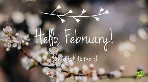 Hello, February! Be good to me. Hello February Quotes, February Images, Balloons Background, Welcome February, February Quotes, February Wallpaper, February Month, Wallpaper For Facebook, February Bullet Journal