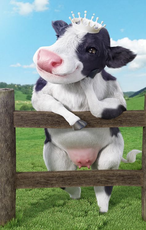 Positive Photos, Cool Animals, Baby Cows, So Funny, Cinema 4d, Cow, Character Design, Animals, Design