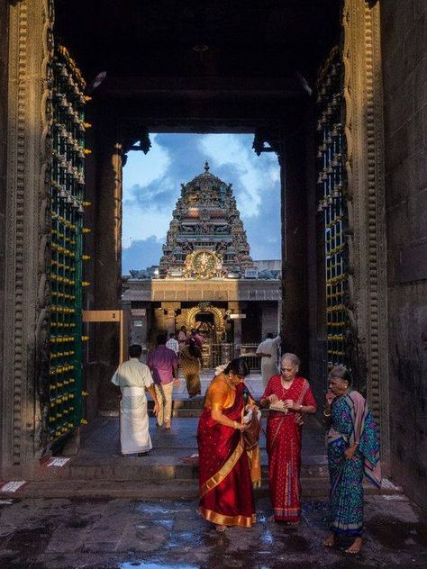 Inside a temple Chennai India Temple India, Indian Temple Architecture, Temple Photography, Amazing India, India Culture, India Photography, Temple Architecture, Om Namah Shivaya, Indian Temple