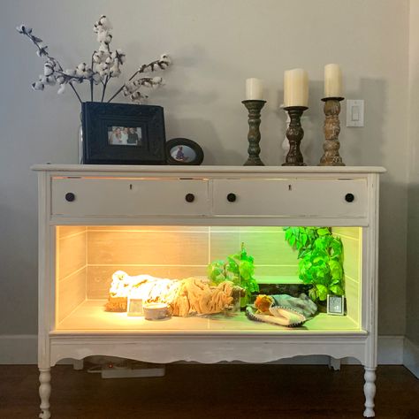 Dresser Terrarium Diy, Diy Bearded Dragon Enclosure Dresser, Dresser Terrarium, Diy Bearded Dragon Enclosure, Lizard Cage, Dragon Enclosure, Bearded Dragon Terrarium Ideas, Bearded Dragon Tattoo, Diy Reptile