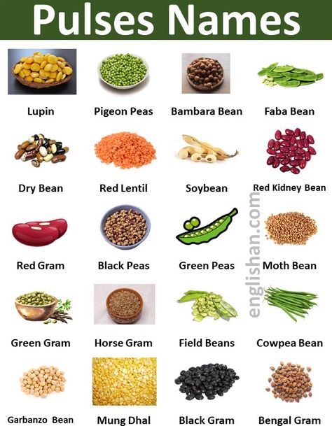 10 Pulses Name, 20 Pulses Name in English, 20 Pulses Name, Pulses Name Hindi and English, 10 Pulses Name in English and Hindi, Masoor Dal in English Name, Moong Dal in English Name, Useful Pulses Name in English, Types of Pulses: 9 Different Varieties of Pulses List, 50+ Pulses Name in English with Pictures English To Urdu Vocabulary, Food Names In English, Beans Benefits, Urdu Vocabulary, Lentils Benefits, English To Urdu, Pulses Recipes, Culinary Cooking, Food Vocabulary