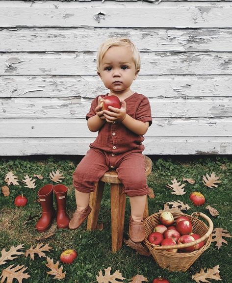 Fall Baby Photos, Fall Baby Pictures, Photoshoot Newborn, The Apple Of My Eye, Toddler Pictures, Toddler Photoshoot, Apple Of My Eye, Toddler Photos, Toddler Photography