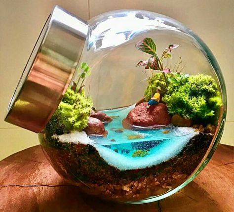 Terrarium Ideas Unique, Succulent Plants Indoor, Terrarium Scene, Succulent Planting, Terrarium Centerpiece, Terrarium Jar, Indoor Home Decor, Terrarium Bowls, Terrarium Ideas