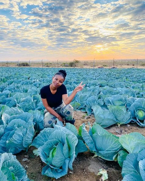 It’s not about how bad you want it... It’s about how hard you are willing to work for it 👌 🥬✌️⤵️ https://zascommunity.wordpress.com/2024/05/21/know-about-cabbage Owning A Farm Aesthetic, Aesthetic Agriculture, Working On A Farm Aesthetic, Farming Aesthetic Country Living, Cabbage Farm, Farm Lifestyle, Zambia, Future Life, Better Life