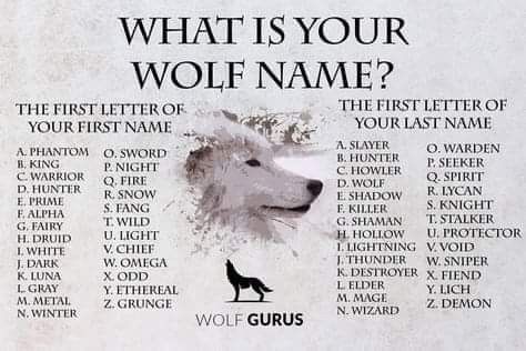 Your Wolf Name, Wolf Names, Funny Name Generator, Wolf White, Dog Wolf, Vampire Makeup, Wolf Images, Best Character Names, Wolf Quotes