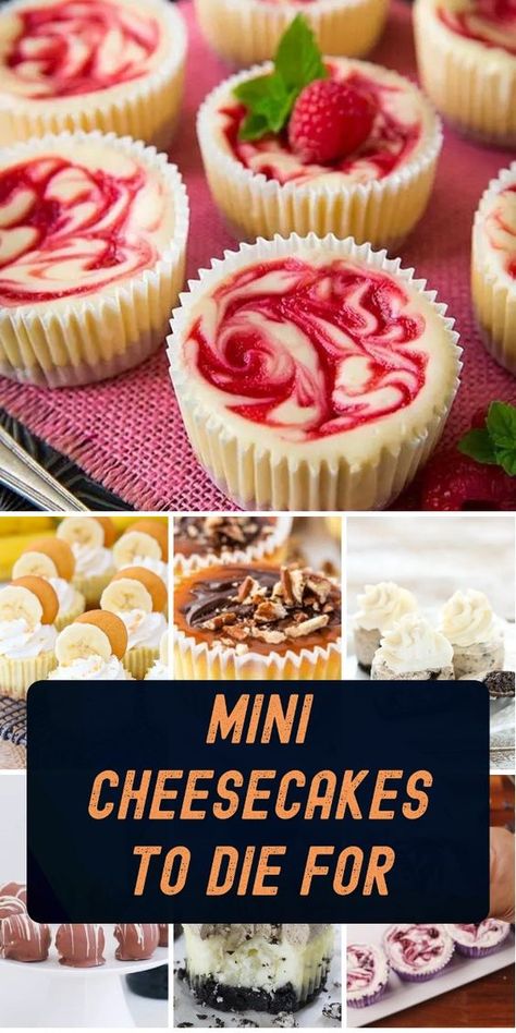 Discover the secret to stealing the show at any gathering with these irresistible Mini Cheesecake Recipes. Get ready to impress! Individual Cheese Cakes Recipes, Individual Desserts In A Cup Single Serve, Apple Pie Mini Cheesecake, Mini Cheesecakes For Weddings, Single Cheesecake Recipe, Individual Cake Ideas, Creme Brulee Mini Cheesecakes, White Chocolate Mini Cheesecakes, Sheet Cheesecake Recipes