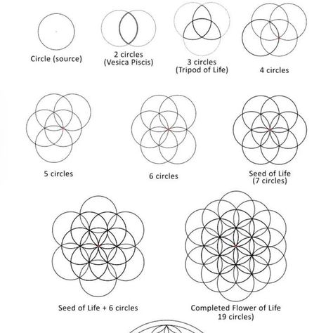 The flower of life, the pattern of creation. #flowerofcreation #life #pattern #patternoflife #circleoflife #symbol Symbols And Meanings, Circle Of Life, Flower Of Life, Crochet Jewelry, Runes, Free Crochet, Beaded Jewelry, Beads, Crochet